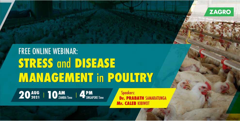 Stress and Disease Management in Poultry